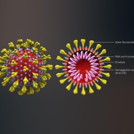 Virus nCoV là gì và cách phòng trị bệnh